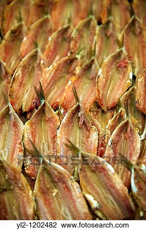 Fresh Anchovies - Venice Rialto Fish Market View Large Photo Image Stock Image - Fresh Anchovies - Venice Rialto Fish Market. Fotosearch