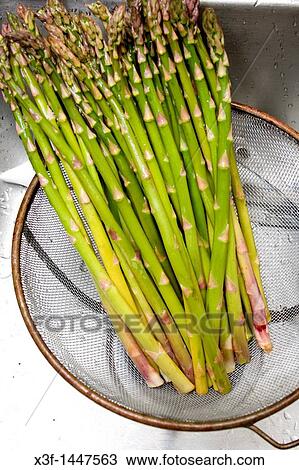 Fresh asparagus draining in strainer St Paul Minnesota MN USA View Large Photo Image Stock Image - Fresh asparagus draining in strainer St Paul Minnesota MN USA. Fotosearch