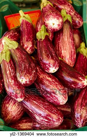 Fresh aubergines in a market View Large Photo Image Picture - Fresh aubergines in a market. Fotosearch