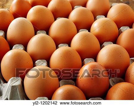 Fresh brown free renge eggs View Large Photo Image Stock Image - Fresh brown free renge eggs. Fotosearch