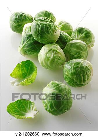 Fresh Brussels Sprouts View Large Photo Image Stock Image - Fresh Brussels Sprouts. Fotosearch