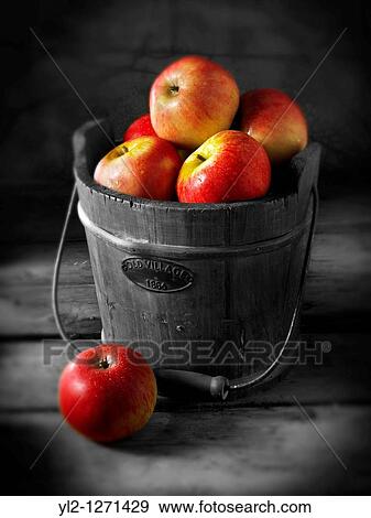 Fresh Discovery apple View Large Photo Image Stock Photo - Fresh Discovery apple. Fotosearch