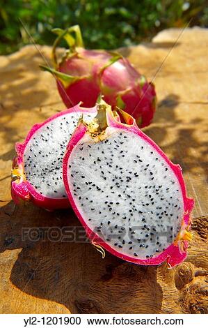 Fresh Dragon Fruit Hylocereus undatus View Large Photo Image Stock Image - Fresh Dragon Fruit Hylocereus undatus. Fotosearch