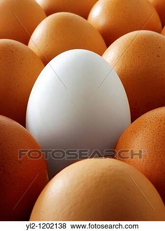 Stock Photo - Fresh Eggs. Fotosearch