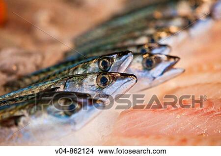 Fresh fish on display at a market stall View Large Photo Image Picture - Fresh fish on display at a market stall. Fotosearch