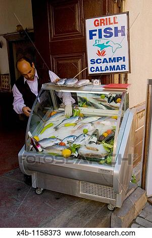 Fresh fish outside a restaurant Kaleici old quarter of Antalya Mediterranean coast south Turkey Asia View Large Photo Image Stock Image - Fresh fish outside a restaurant Kaleici old quarter of Antalya Mediterranean coast south Turkey Asia. Fotosearch