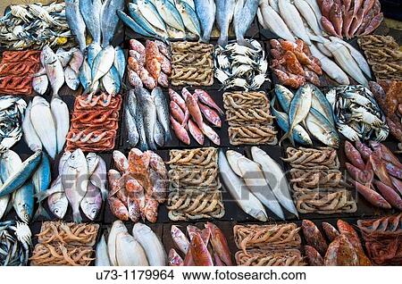 Picture - Fresh fish sold in the morning market in Alexandria, Egypt.. Fotosearch