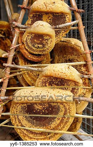 fresh honey on the comb for sale, chatuchak weekend market a kaleidoscope of exotic strange colours, smells and tastes, strangest and biggest market in the world, bangkok, Thailand View Large Photo Image Stock Image - fresh honey on the comb for sale, chatuchak weekend market a kaleidoscope of exotic strange colours, smells and tastes, strangest and biggest market in the world, bangkok, Thailand. Fotosearch