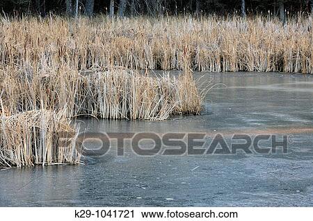 Stock Image - Fresh ice and reflections at dawn in late autumn. Fotosearch