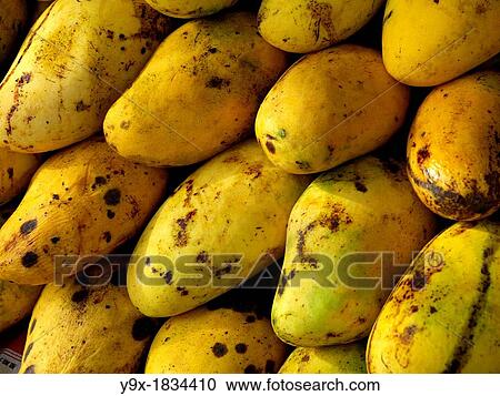 Fresh mangos View Large Photo Image Stock Image - Fresh mangos. Fotosearch
