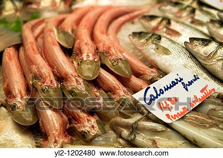 Stock Image - Fresh Palombo - Dog Fish in the Rialto Market - Venice Italy. Fotosearch