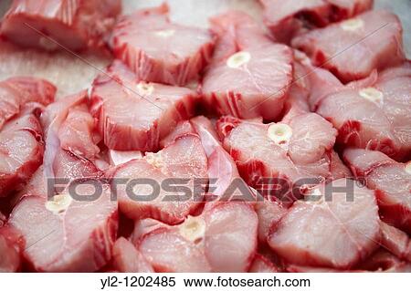 Fresh Palombo - Dog Fish - Venice Rialto Fish Market View Large Photo Image Stock Photography - Fresh Palombo - Dog Fish - Venice Rialto Fish Market. Fotosearch