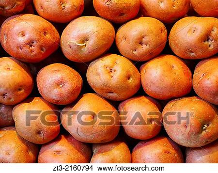 Fresh potatoes in Mercat de Santa Caterina - Fresh Food Market in Barcelona, Catalonia, Spain. View Large Photo Image Picture - Fresh potatoes in Mercat de Santa Caterina - Fresh Food Market in Barcelona, Catalonia, Spain.. Fotosearch