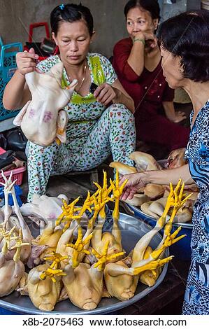 Fresh poultry for sale at market at Chau Doc, Mekong River Delta, Vietnam. View Large Photo Image Stock Image - Fresh poultry for sale at market at Chau Doc, Mekong River Delta, Vietnam.. Fotosearch