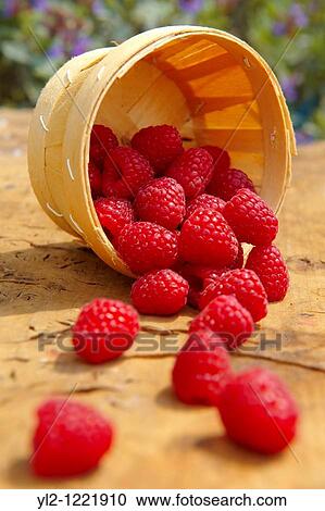 Stock Image - Fresh Raspberries. Fotosearch