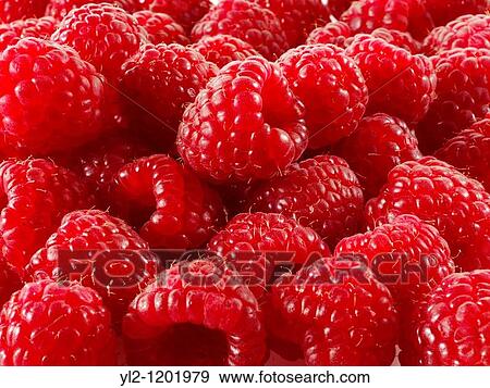 Stock Photo - Fresh Raspberries. Fotosearch