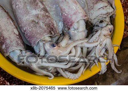 Fresh seafood for sale at market at Chau Doc, Mekong River Delta, Vietnam. View Large Photo Image Stock Photography - Fresh seafood for sale at market at Chau Doc, Mekong River Delta, Vietnam.. Fotosearch