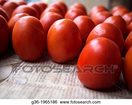Stock Photograph - Fresh tomatoes sit on a piece of newspaper in Bangalore, Karnataka, India.. Fotosearch