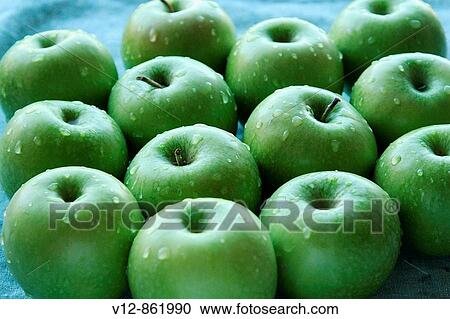 fresh wet granny smith apple fruit View Large Photo Image Stock Image - fresh wet granny smith apple fruit. Fotosearch