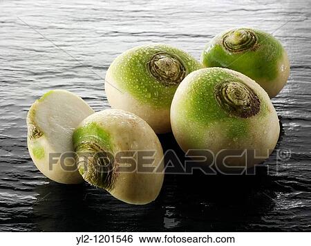 Stock Photograph - Fresh whole turnips vegetable. Fotosearch