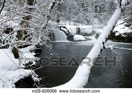 Stock Photo - Fresh winter snow along Whatcom Creek, Bellingham Washington USA. Fotosearch