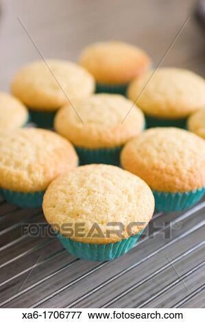 Stock Photo - Freshly baked cupcakes in turquoise paper cases resting on a cooling rack. Fotosearch