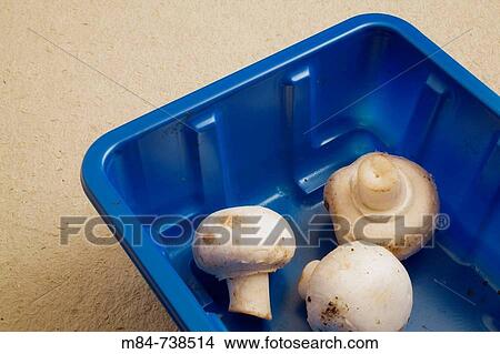 Freshly picked whole white mushrooms in a blue plastic packaging tray View Large Photo Image Picture - Freshly picked whole white mushrooms in a blue plastic packaging tray. Fotosearch