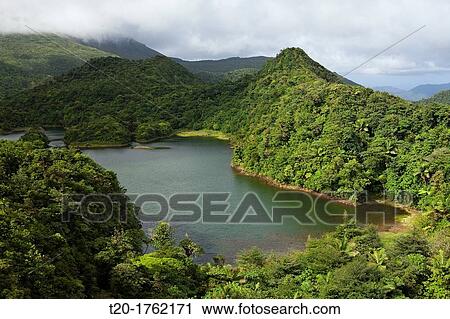 Freshwater Lake in Morne Trois Pitons National Park, Caribbean, Dominica View Large Photo Image Stock Image - Freshwater Lake in Morne Trois Pitons National Park, Caribbean, Dominica. Fotosearch