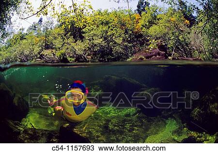 Freshwater Rivers Diving in a river Rio Verdugo, Galicia, Spain View Large Photo Image Stock Image - Freshwater Rivers Diving in a river Rio Verdugo, Galicia, Spain. Fotosearch