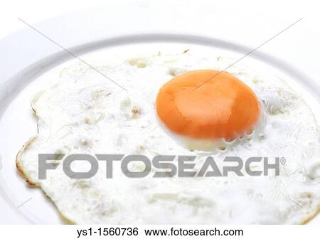 Fried Eggs in a Plate View Large Photo Image Stock Photograph - Fried Eggs in a Plate. Fotosearch