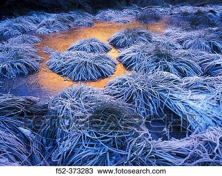 Frost. Las M? dulas. Le? n province, Spain View Large Photo Image Stock Image - Frost. Las M? dulas. Le? n province, Spain. Fotosearch