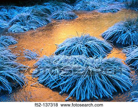 Frost. Las M? dulas. Le? n province, Spain View Large Photo Image Stock Photo - Frost. Las M? dulas. Le? n province, Spain. Fotosearch