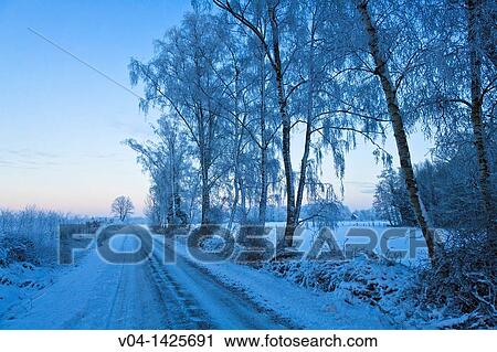 Frosted trees and icy road in winter, Lower Saxony, Germany, Europe View Large Photo Image Stock Image - Frosted trees and icy road in winter, Lower Saxony, Germany, Europe. Fotosearch