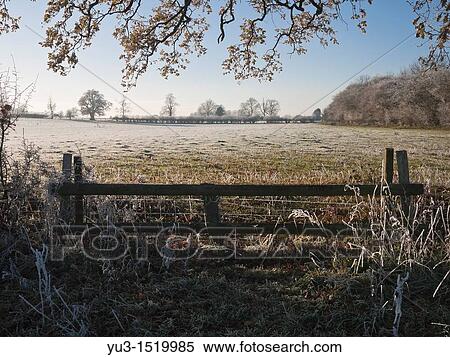 Stock Photography - Frosty morning scene, Oxfordshire, England, UK. Fotosearch