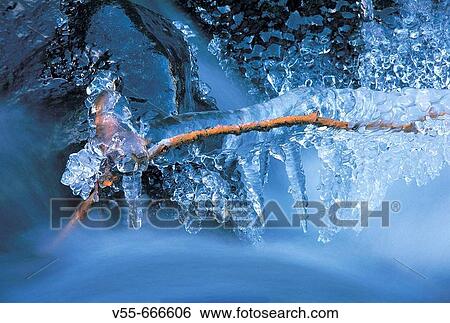 Stock Photograph - Frozen brach in creek.. Fotosearch