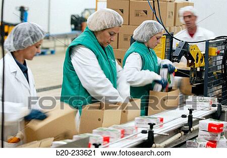 Stock Image - Frozen food industry, broccoli packing line. Navarre. Spain. Fotosearch