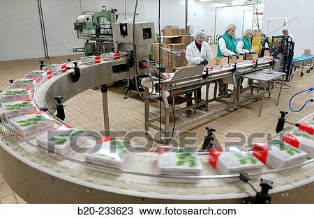 Frozen food industry, broccoli packing line. Navarre. Spain View Large Photo Image Stock Image - Frozen food industry, broccoli packing line. Navarre. Spain. Fotosearch
