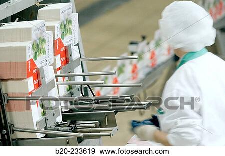 Frozen food industry, broccoli packing line. Navarre. Spain View Large Photo Image Stock Photo - Frozen food industry, broccoli packing line. Navarre. Spain. Fotosearch