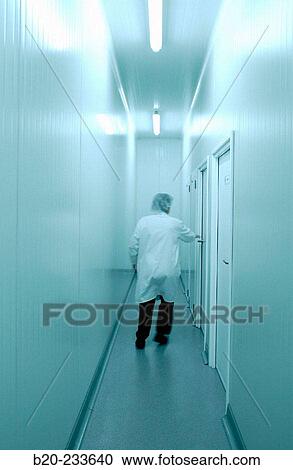 Frozen food industry, clean area. Navarre. Spain View Large Photo Image Stock Image - Frozen food industry, clean area. Navarre. Spain. Fotosearch