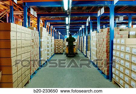 Frozen food industry, cold-storage area. Navarre. Spain View Large Photo Image Stock Image - Frozen food industry, cold-storage area. Navarre. Spain. Fotosearch