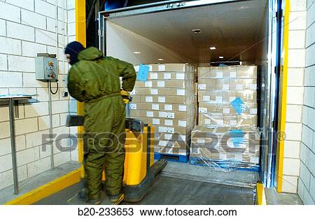 Frozen food industry, cold-storage area, loading a truck. Navarre. Spain View Large Photo Image Stock Image - Frozen food industry, cold-storage area, loading a truck. Navarre. Spain. Fotosearch