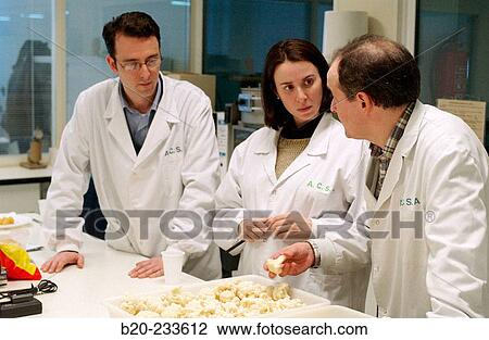 Frozen food industry, experts analyzing food samples (cauliflower) of rival firms. Navarre. Spain View Large Photo Image Stock Image - Frozen food industry, experts analyzing food samples (cauliflower) of rival firms. Navarre. Spain. Fotosearch