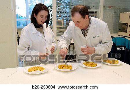 Frozen food industry, food tasters tasting potato balls of rival firms. Navarre. Spain View Large Photo Image Picture - Frozen food industry, food tasters tasting potato balls of rival firms. Navarre. Spain. Fotosearch