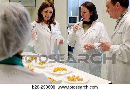 Frozen food industry, food tasters tasting potato balls of rival firms. Navarre. Spain View Large Photo Image Stock Photo - Frozen food industry, food tasters tasting potato balls of rival firms. Navarre. Spain. Fotosearch
