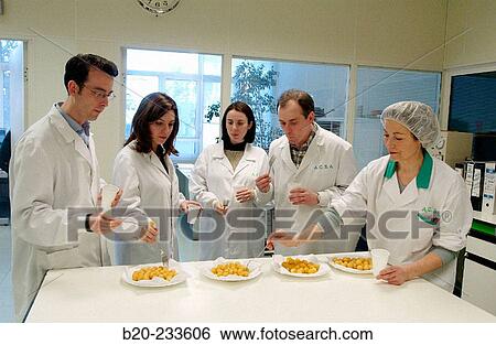 Frozen food industry, food tasters tasting potato balls of rival firms. Navarre. Spain View Large Photo Image Stock Photograph - Frozen food industry, food tasters tasting potato balls of rival firms. Navarre. Spain. Fotosearch