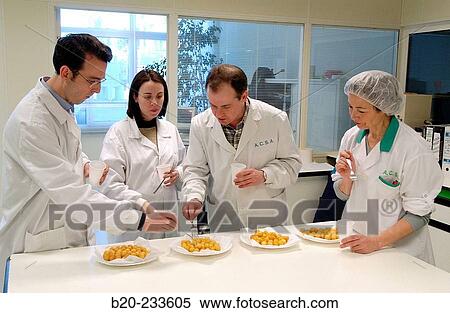 Frozen food industry, food tasters tasting potato balls of rival firms. Navarre. Spain View Large Photo Image Stock Photography - Frozen food industry, food tasters tasting potato balls of rival firms. Navarre. Spain. Fotosearch
