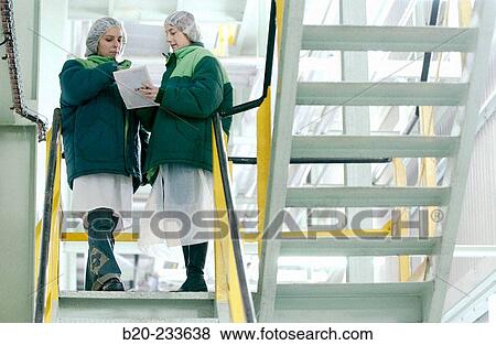 Frozen food industry. Navarre. Spain View Large Photo Image Stock Photo - Frozen food industry. Navarre. Spain. Fotosearch