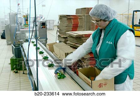Frozen food industry, packing line. Navarre. Spain View Large Photo Image Picture - Frozen food industry, packing line. Navarre. Spain. Fotosearch