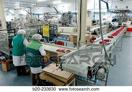 Frozen food industry, packing line. Navarre. Spain View Large Photo Image Stock Image - Frozen food industry, packing line. Navarre. Spain. Fotosearch