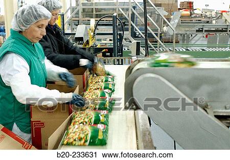 Frozen food industry, packing line. Navarre. Spain View Large Photo Image Stock Image - Frozen food industry, packing line. Navarre. Spain. Fotosearch